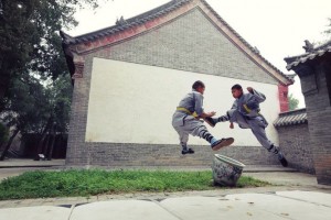Shaolin Kung Fu_07